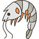 Shrimp